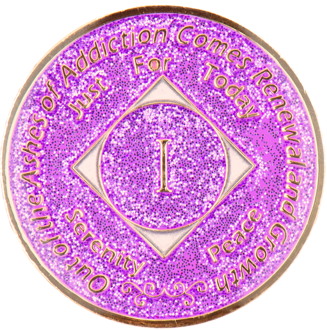 #N21. NA Glitter Chip - Lavender Coin (1-45) - Premium NewChips from Choices - Just $13.95! Shop now at Choices Books & Gifts