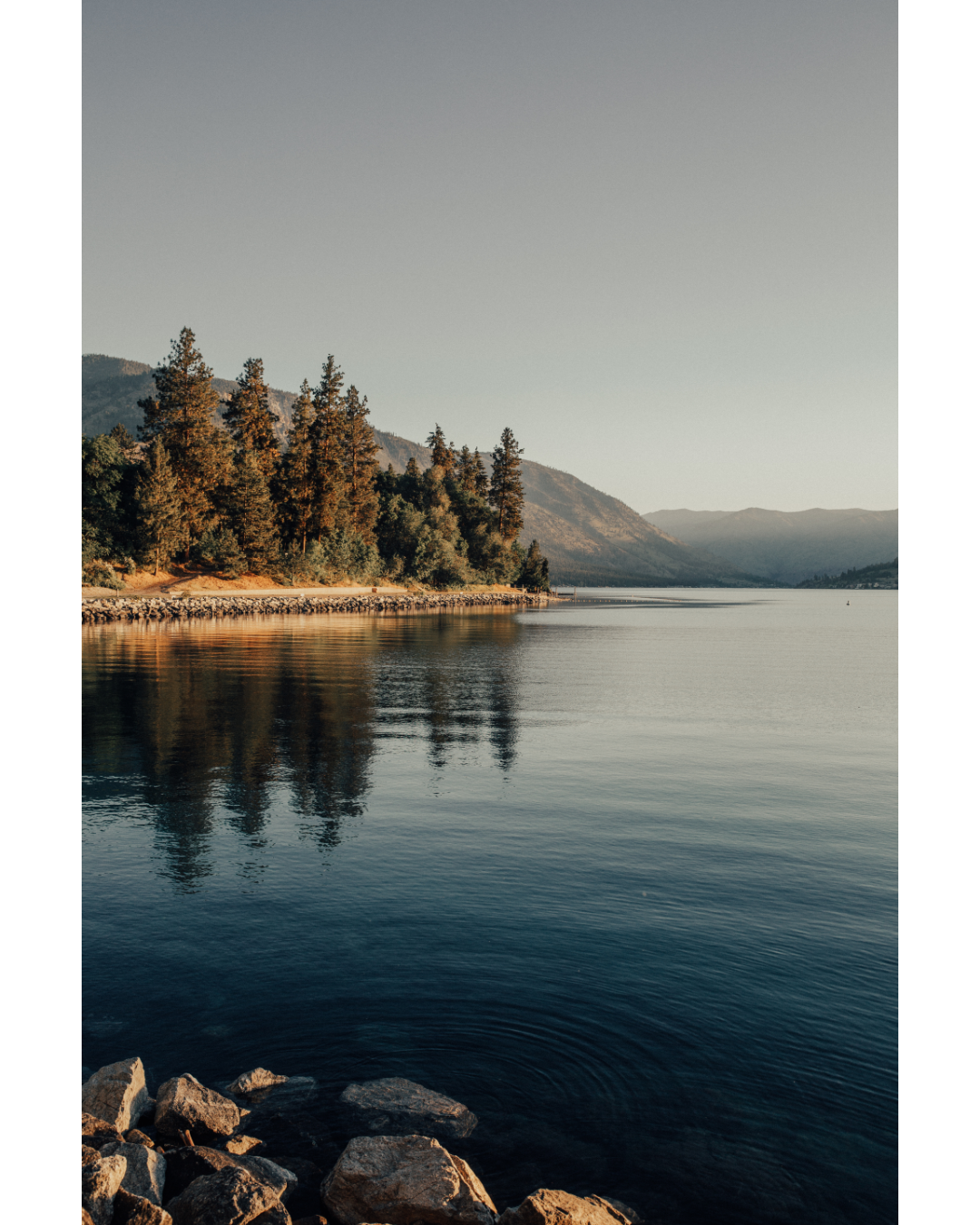 A calm lake at sunrise with pine trees reflected in still water, a quiet scene symbolizing letting go and moving forward in recovery