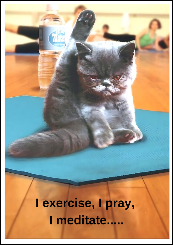 79. Yoga Cat Card. C07