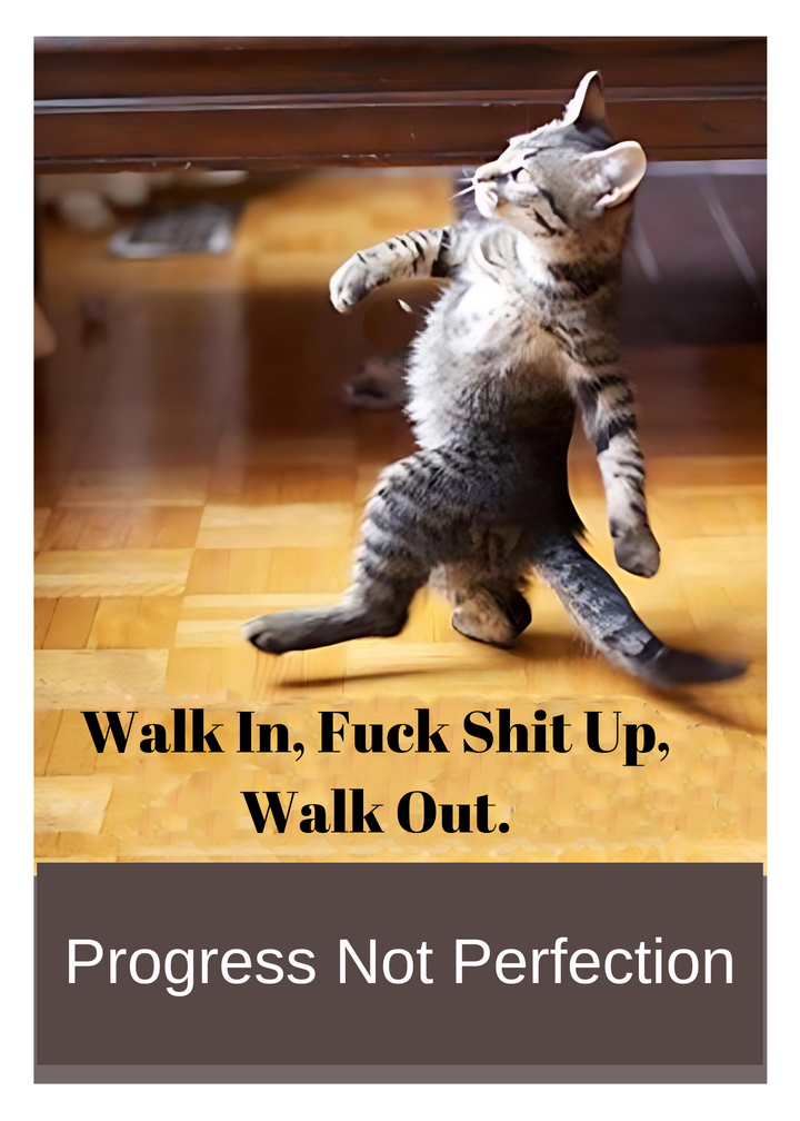 80. Walk In Cat Card. C08