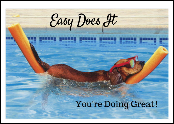 81. Easy Does It Dog in Pool Card. C03