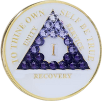 #a02. AA Glow in Dark Coin w Purple Crystal Trans (1-65) - Premium Medallions from Choices - Just $21.95! Shop now at Choices Books & Gifts