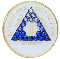 AA Coin, #A05. Glow AA Medallion w Blue Trans (Yrs 1-65)