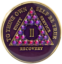 AA Coin, #A51.  Purple AA Chip  w Volcano Crystals (Yrs 1-65)