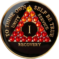 AA Coin, #AA102.  Black AA Medallion w Red Tran Crystals (1-65)