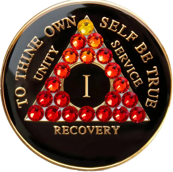 AA Coin, #AA102.  Black AA Medallion w Red Tran Crystals (1-65)