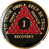 AA Coin, #AA103.  Black AA Medallion w Red Triangle  (Yrs 1-65)