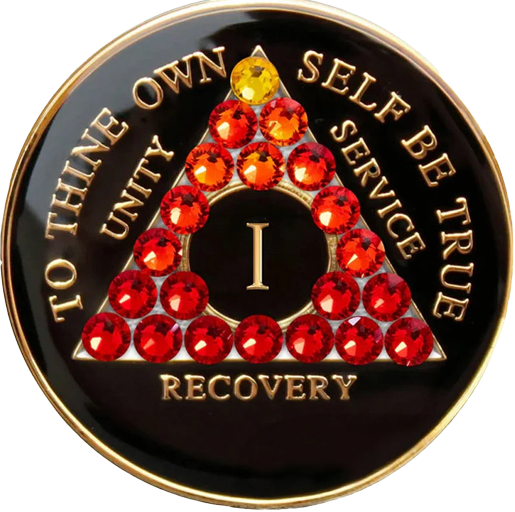 AA Black with Red Tran Crystals Coin - Recovery Medallion from Choices Books & Gifts