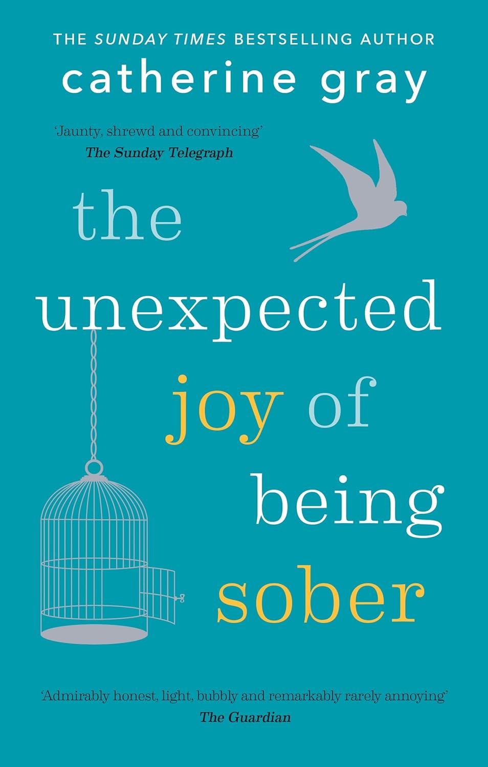 Unexpected Joy of Being Sober: Discovering a happy, healthy, wealthy alcohol-free life - Choices Books & Gifts