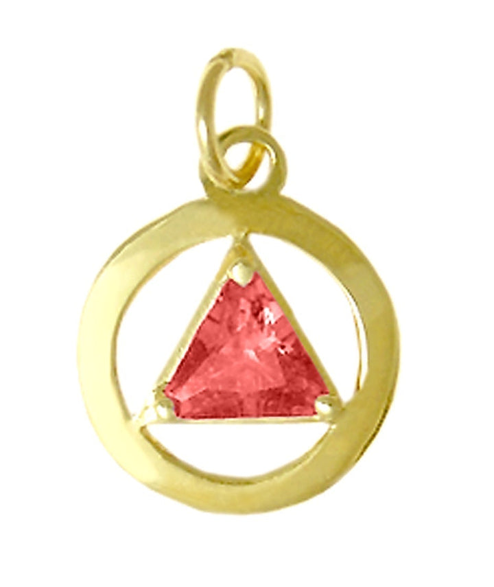 AG01. AA Birthstone Pendant - 12 Colors, 14kt Gold. - Premium Jewelry from 12 Step Gold by Jonathan Friedman - Just $187! Shop now at Choices Books & Gifts