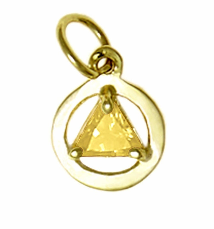 AG02. AA Birthstone Pendant - 12 Colors, 14kt Gold. - Premium Jewelry from 12 Step Gold by Jonathan Friedman - Just $123! Shop now at Choices Books & Gifts