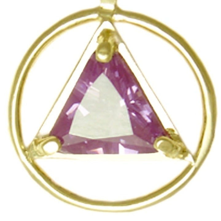 AG03. AA Birthstone Pendant - 12 Colors, 14kt Gold. - Premium Jewelry from 12 Step Gold by Jonathan Friedman - Just $249! Shop now at Choices Books & Gifts