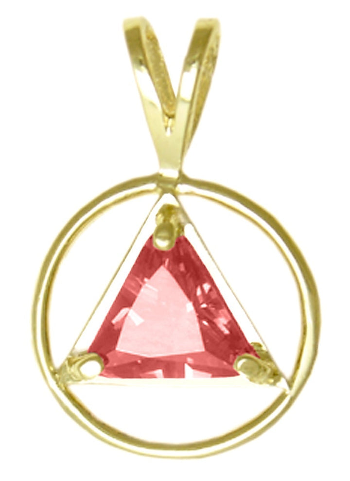 AG03. AA Birthstone Pendant - 12 Colors, 14kt Gold. - Premium Jewelry from 12 Step Gold by Jonathan Friedman - Just $249! Shop now at Choices Books & Gifts