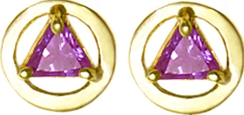 AGE57. Birthstone Earrings.  14KT Gold. - Premium Jewelry from 12 Step Gold by Jonathan Friedman - Just $205! Shop now at Choices Books & Gifts