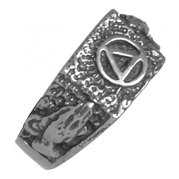 ASR16. AA Symbol. Sterling Silver. - Premium Jewelry from 12 Step Gold by Jonathan Friedman - Just $45! Shop now at Choices Books & Gifts