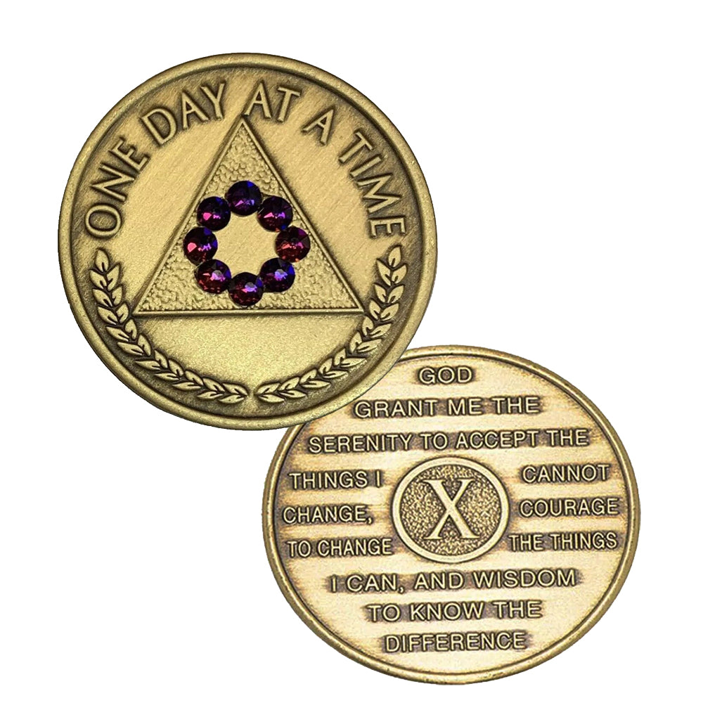 Al-Anon Bronze with Volcano Circle (yrs Coin - Recovery Medallion from Choices Books & Gifts
