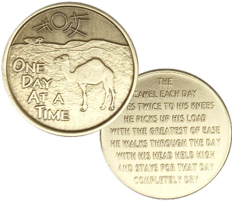 Camel Desert Bronze Recovery Coin - Recovery Medallion from Choices Books & Gifts