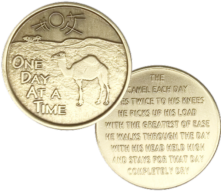 Camel Desert Bronze Recovery Coin - Recovery Medallion from Choices Books & Gifts