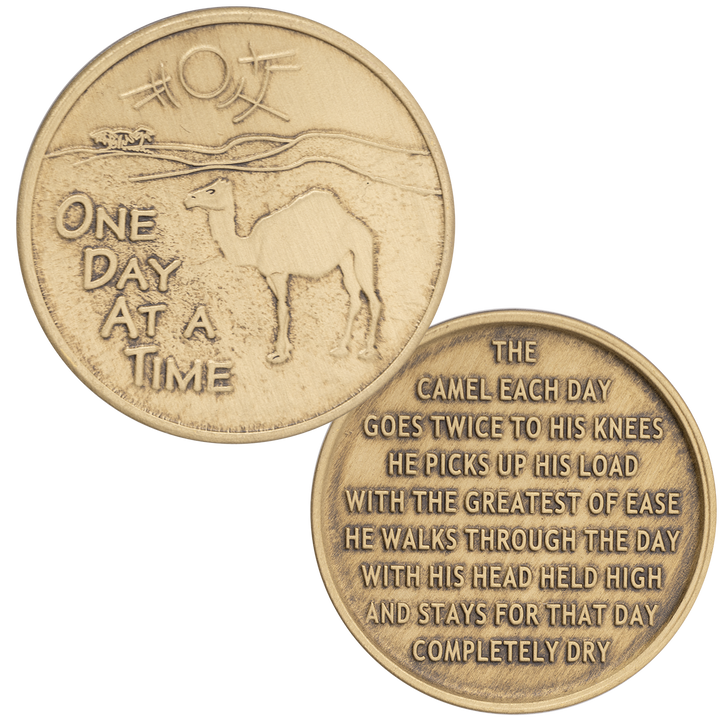 Camel Desert Bronze Recovery Coin - Recovery Medallion from Choices Books & Gifts