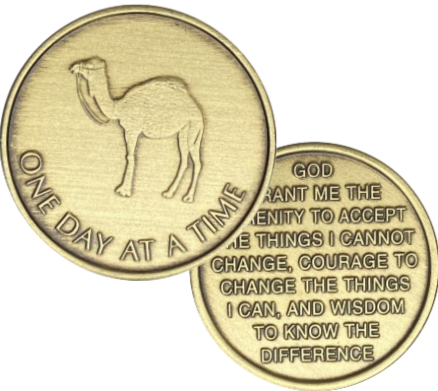 Camel Desert with Serenity Prayer Coin - Recovery Medallion from Choices Books & Gifts