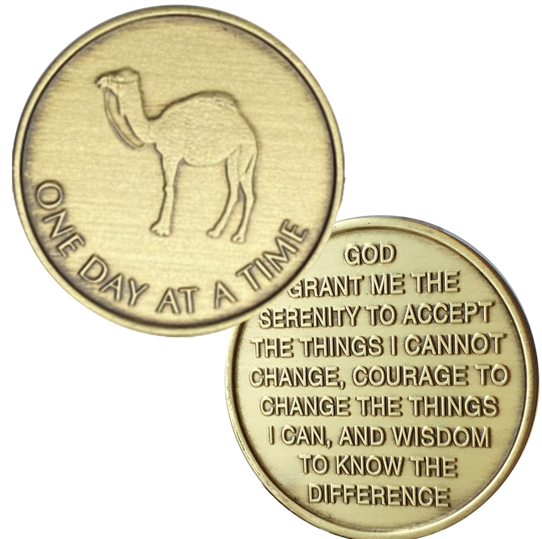 Camel Desert with Serenity Prayer Coin - Recovery Medallion from Choices Books & Gifts