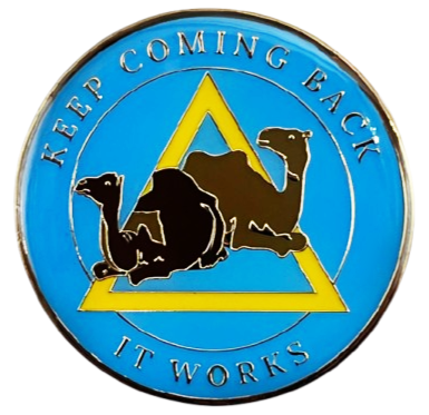 Camel, Keep Coming Back Coin - Recovery Medallion from Choices Books & Gifts