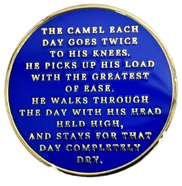 Camel, Keep Coming Back Coin - Recovery Medallion from Choices Books & Gifts