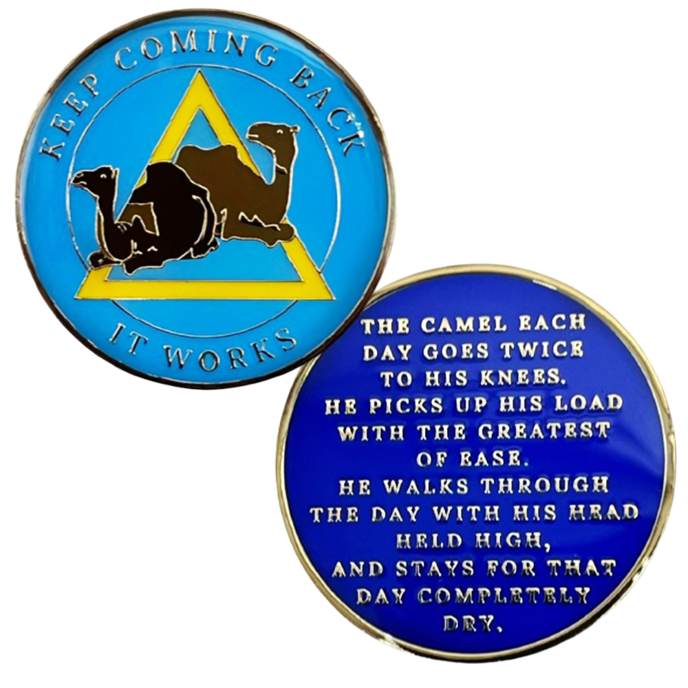 Camel, Keep Coming Back Coin - Recovery Medallion from Choices Books & Gifts