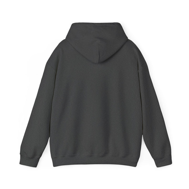 Friends of Bill Hoodie. Many Colors Available - Choices Books & Gifts