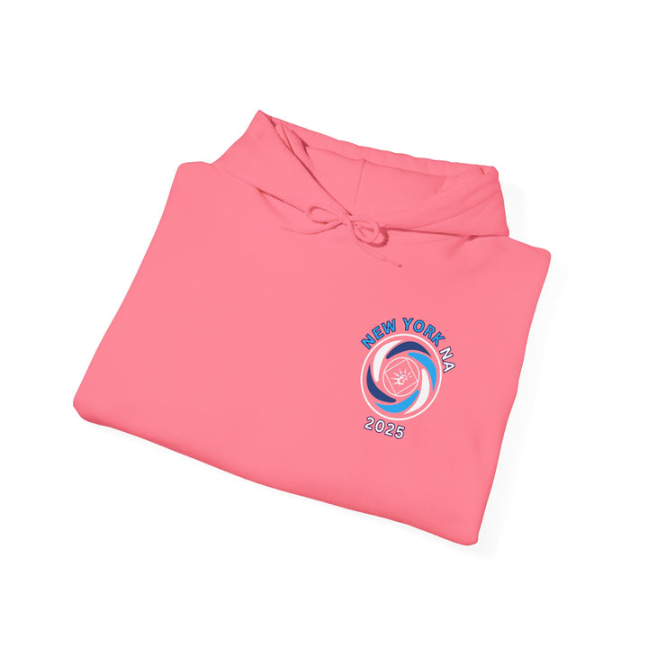 G126. NY NA Hoodie. Many Colors Available