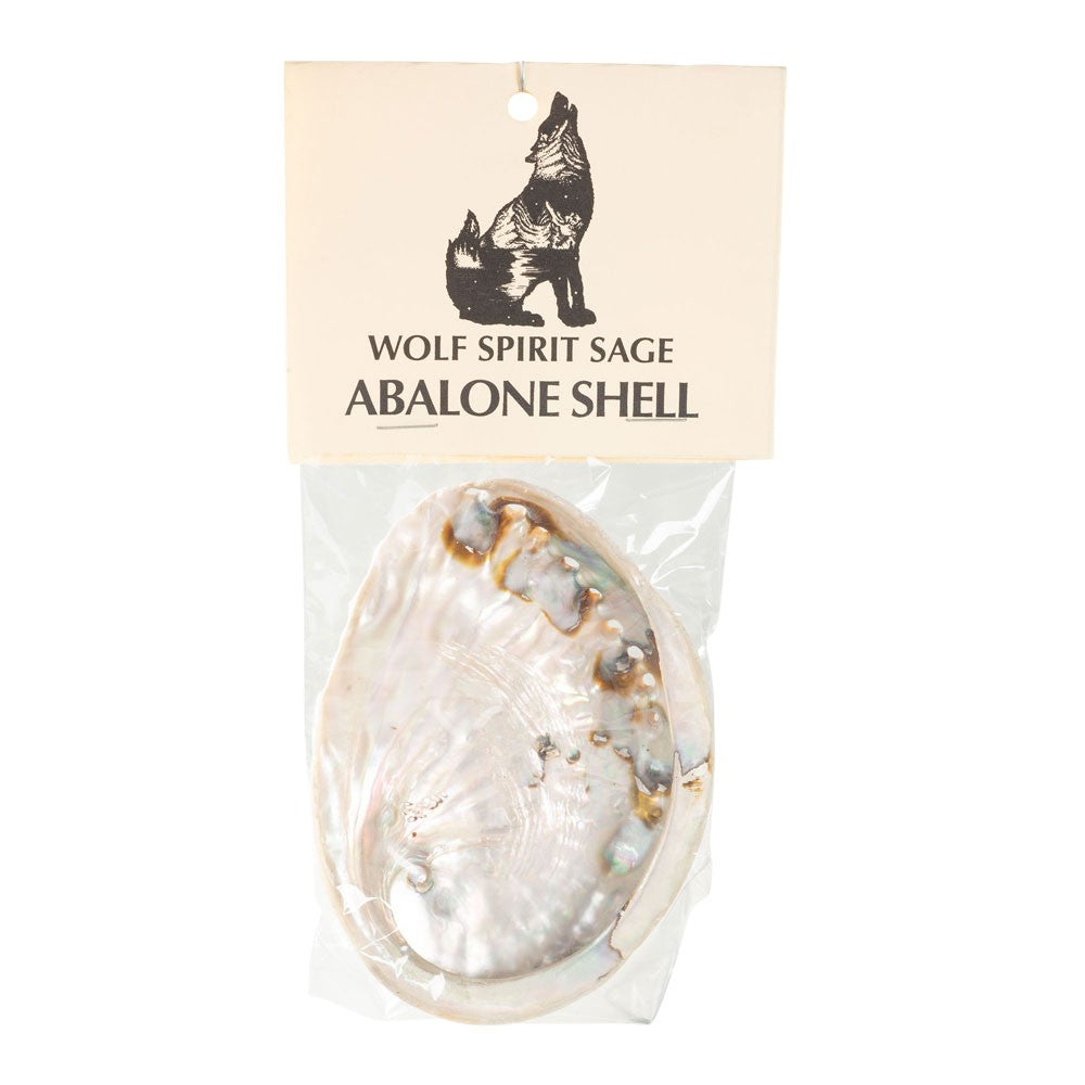 G148. Abalone Shell