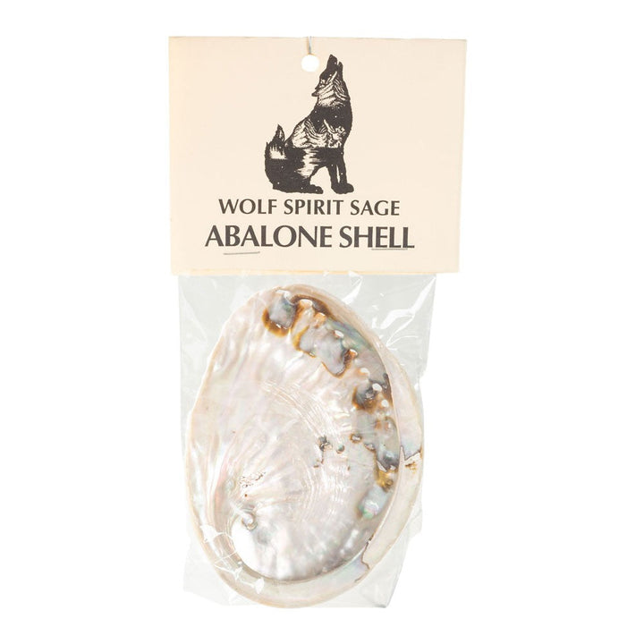 G148. Abalone Shell