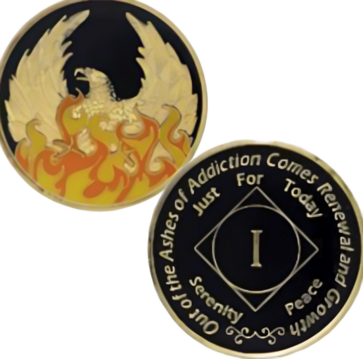 #M01. NA Ashes Yearly Chip (Years 1-45) (Copy)