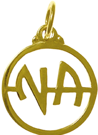 N14. NA Initials, Medium Size, Pendant 14KT Gold. - Premium Jewelry from 12 Step Gold by Jonathan Friedman - Just $175! Shop now at Choices Books & Gifts