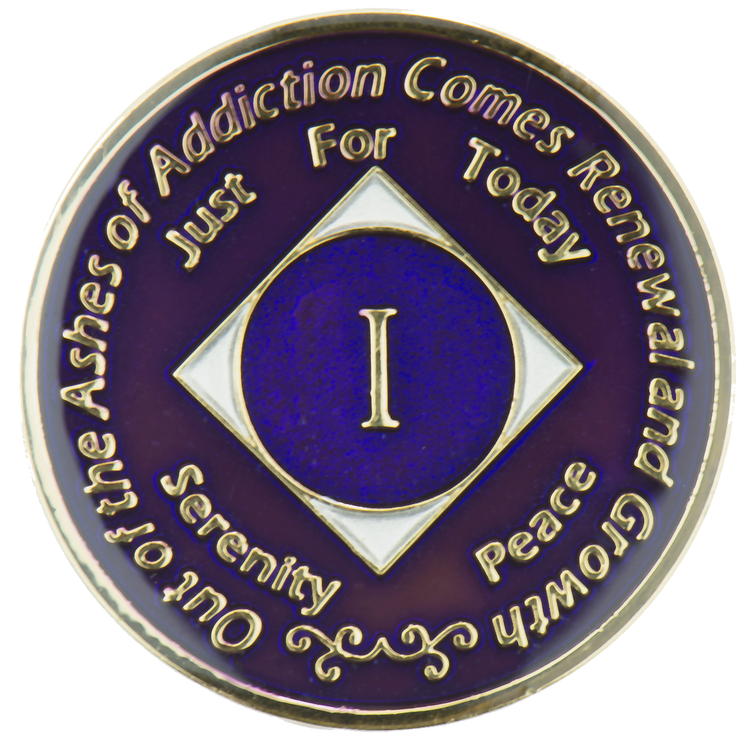 #N39.  NA Medallion Purple (1-45) - Premium Medallions from Choices - Just $13.95! Shop now at Choices Books & Gifts