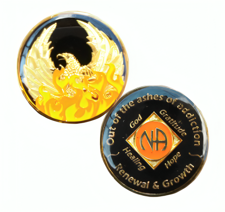 NA Ashes Coin with or with/without NA Symbol - Recovery Medallion from Choices Books & Gifts