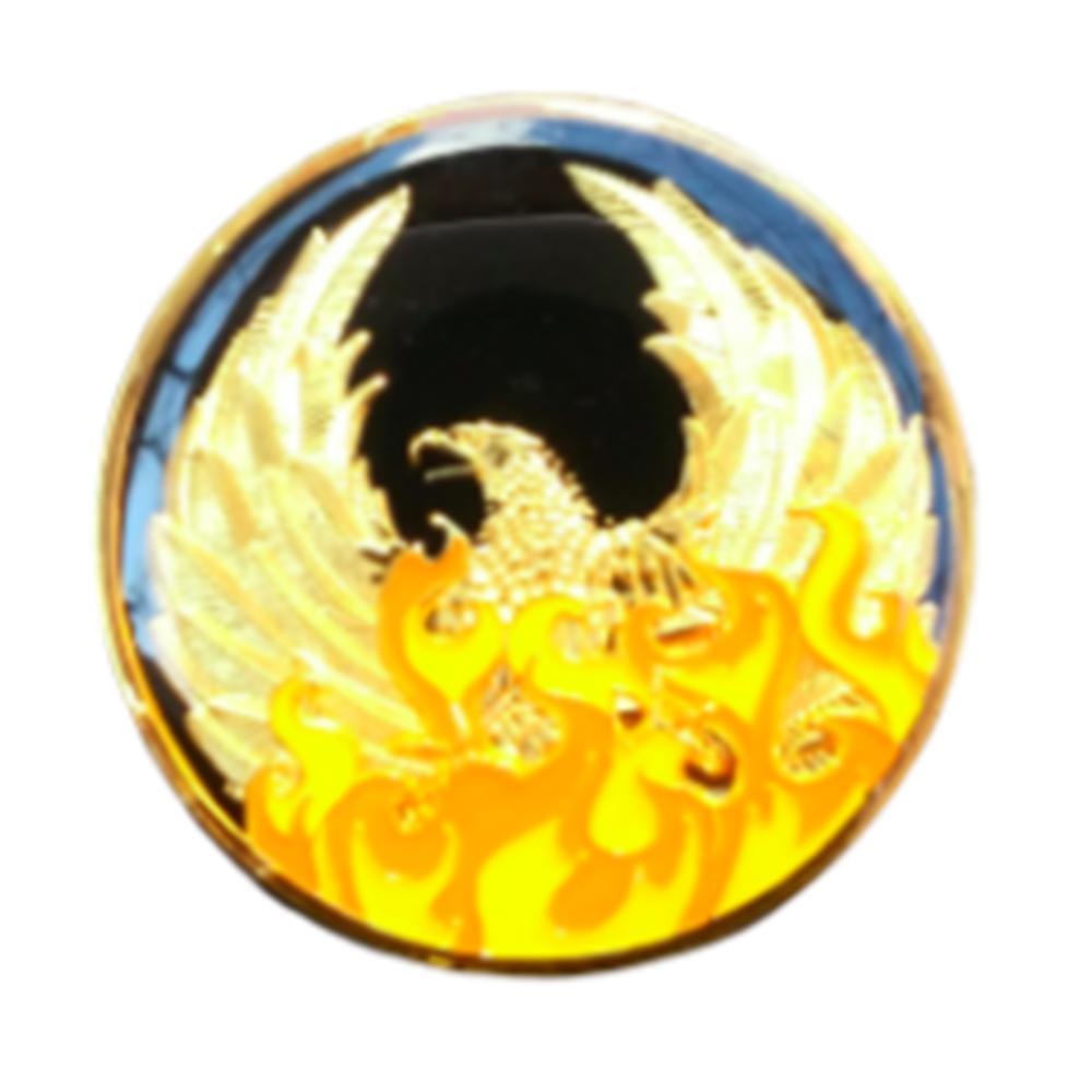 NA Ashes Coin with or with/without NA Symbol - Recovery Medallion from Choices Books & Gifts
