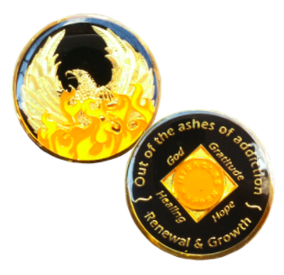 NA Ashes Coin with or with/without NA Symbol - Recovery Medallion from Choices Books & Gifts