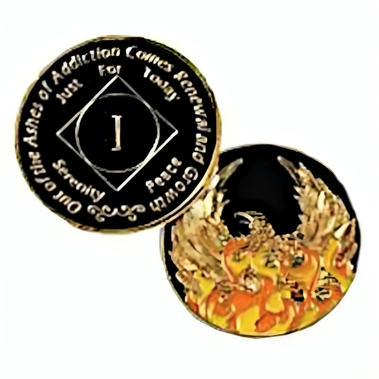 NA Ashes Yearly Coin - Recovery Medallion from Choices Books & Gifts