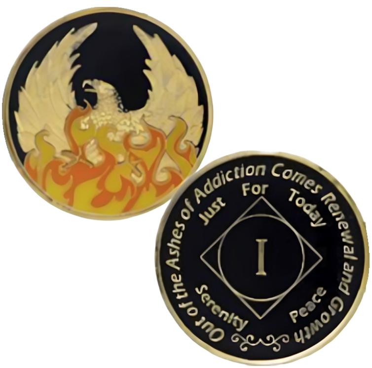 NA Ashes Yearly Coin - Recovery Medallion from Choices Books & Gifts