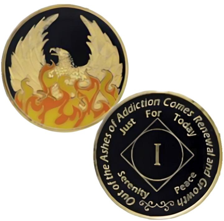 NA Ashes Yearly Coin - Recovery Medallion from Choices Books & Gifts