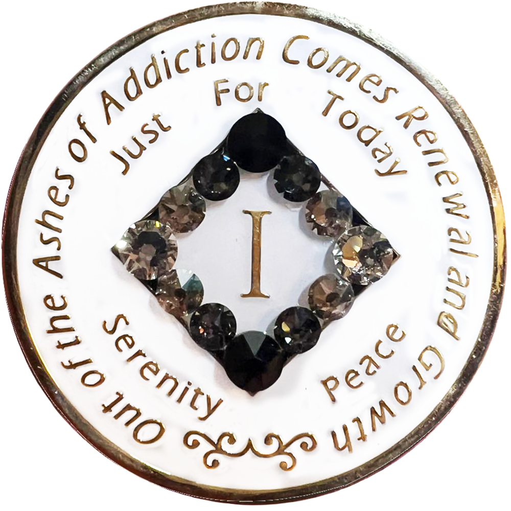 NA Glow in the Dark with Blk Transition Coin - Recovery Medallion from Choices Books & Gifts