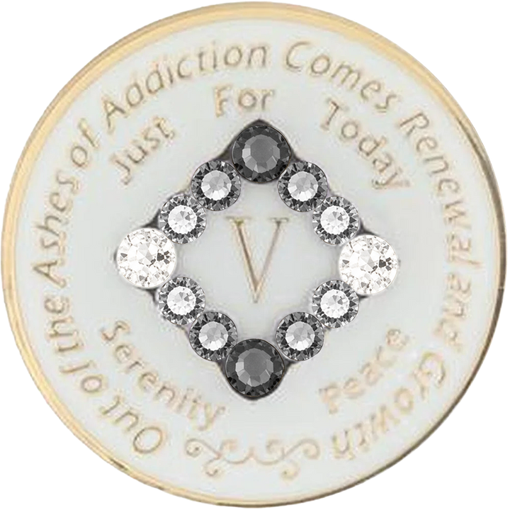 NA Glow in the Dark Coin w Grey Transition, Years 1-45 (#N10)