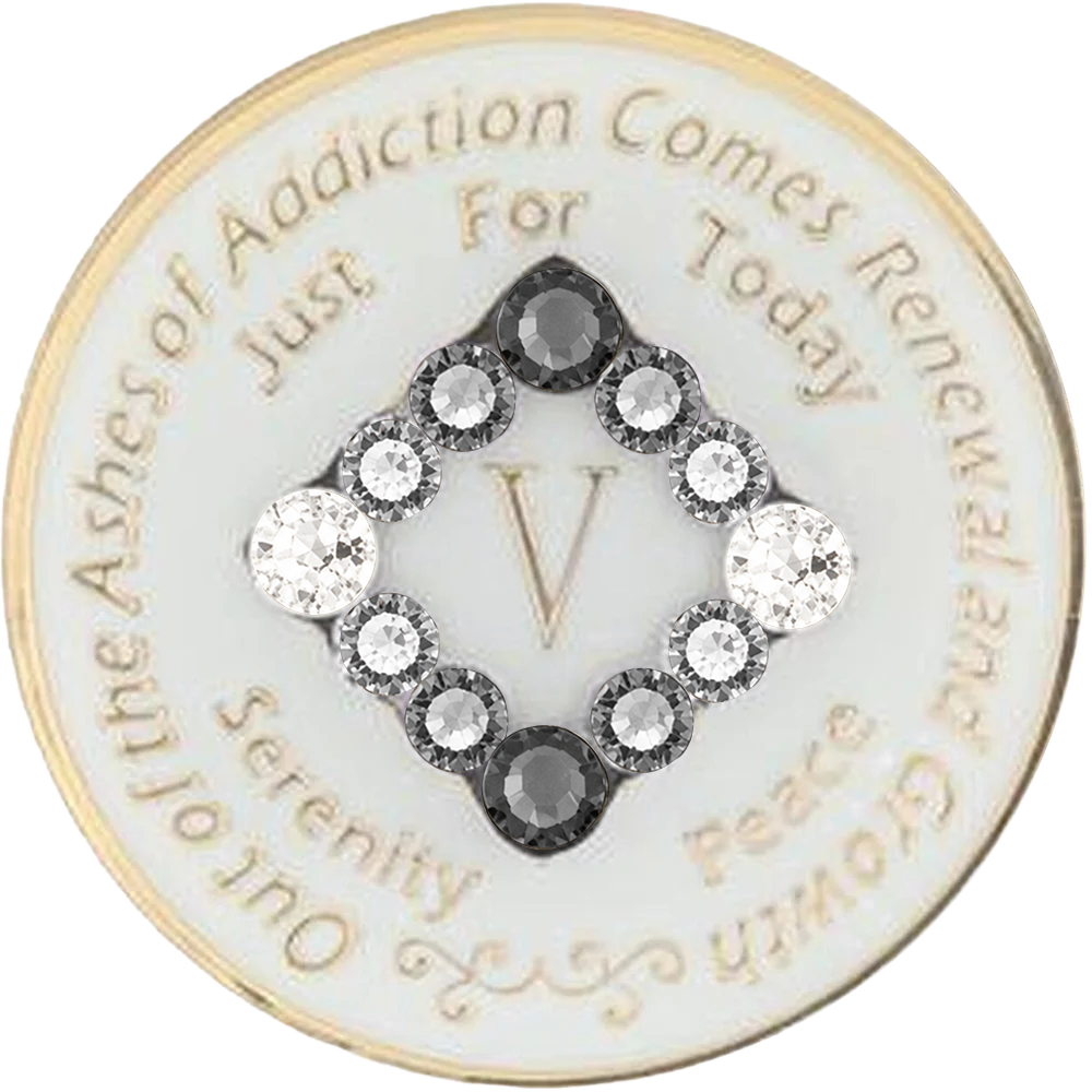 NA Glow in the Dark Coin w Grey Transition, Years 1-45 (#N10)