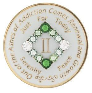 Glow in the Dark NA Chip with Green Transition - Recovery Medallion from Choices Books & Gifts