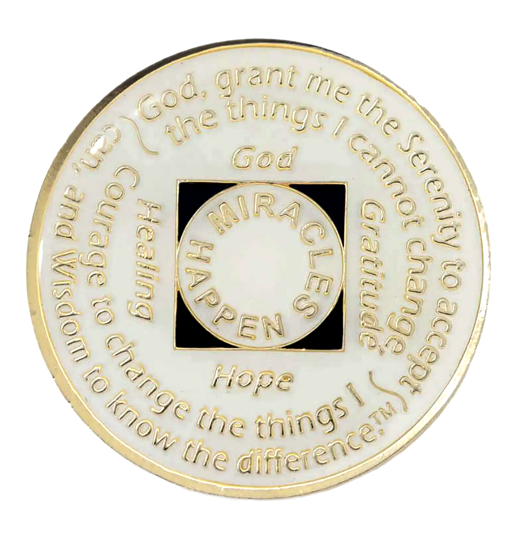 Glow in the Dark NA Chip with Orange Transition - Recovery Medallion from Choices Books & Gifts