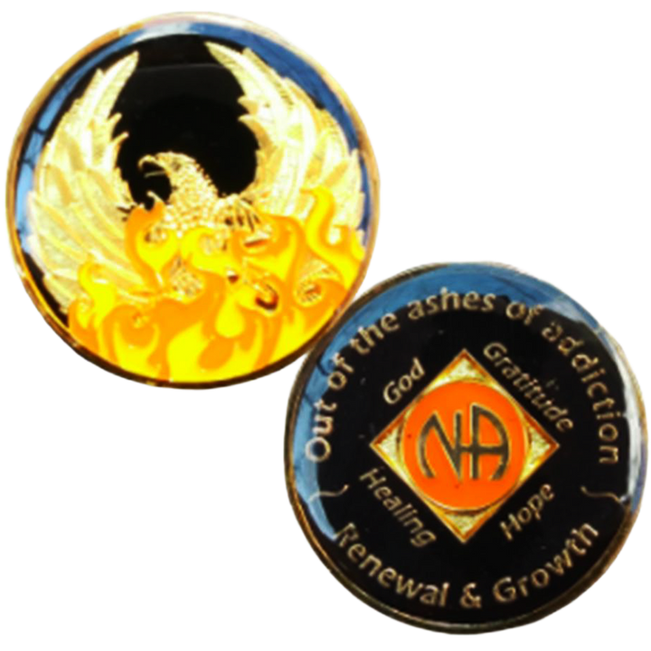 NA Coin, #M05.  Ashes NA Medallion  w NA