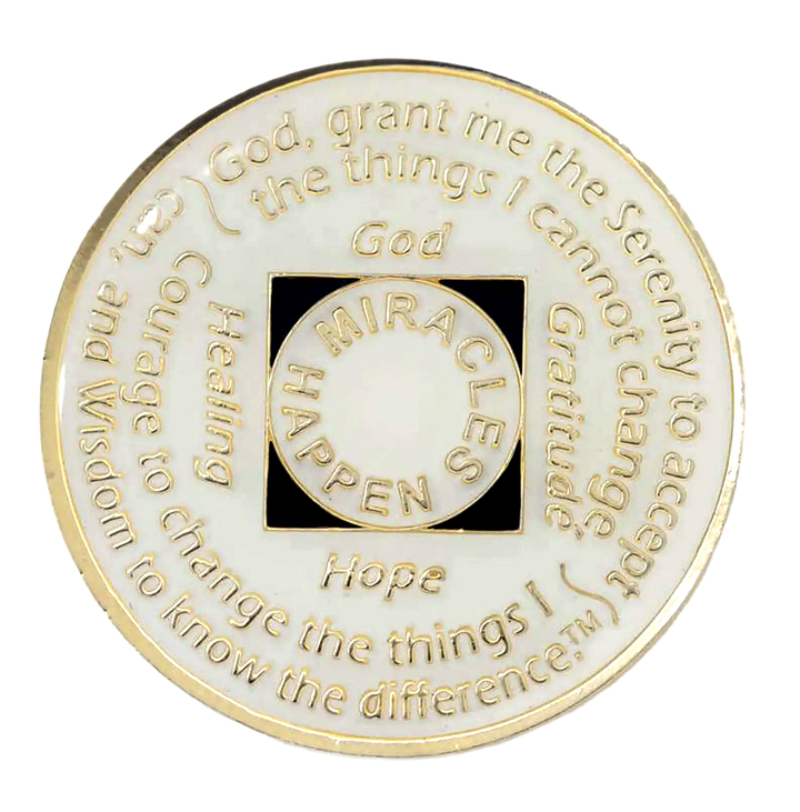 NA Coin, #N06.  Glow in the Dark NA Chip w Orange Transition (Yrs 1-45)