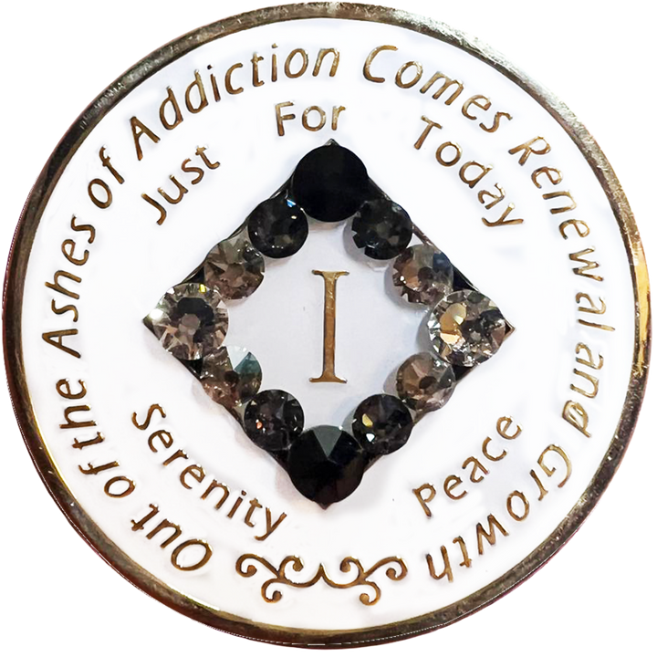 NA Coin, #N10.  Glow in the Dark w Blk Transition (Yrs 1-45)