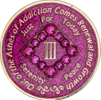 NA Coin, #N14.  Glitter Pink NA Chip w Pink Crystals (Yrs 1-45)